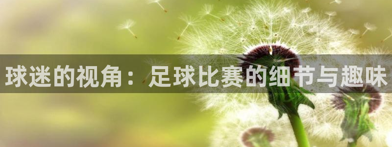 球迷的视角：足球比赛的细节与趣味