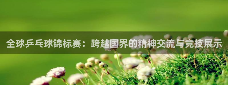 全球乒乓球锦标赛：跨越国界的精神交流与竞技展示