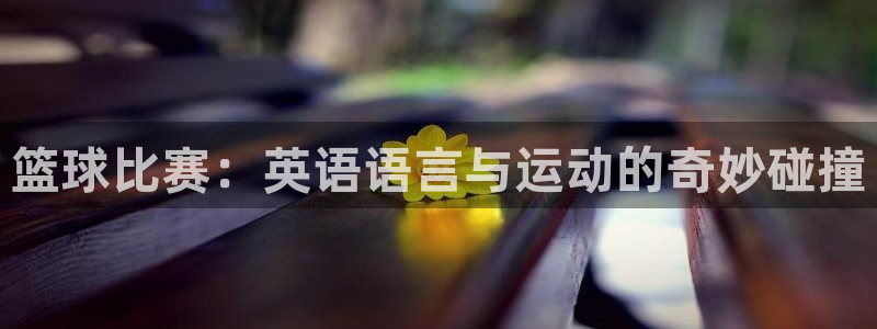 篮球比赛：英语语言与运动的奇妙碰撞