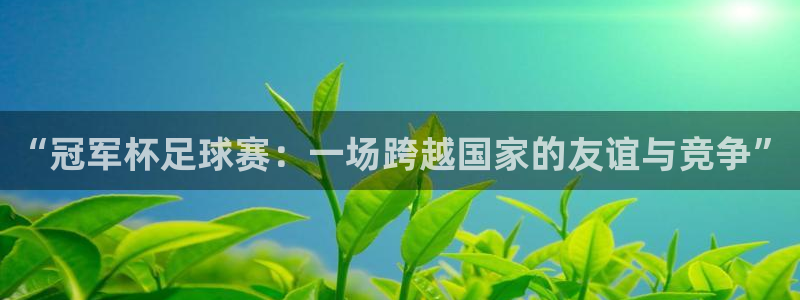 “冠军杯足球赛：一场跨越国家的友谊与竞争”