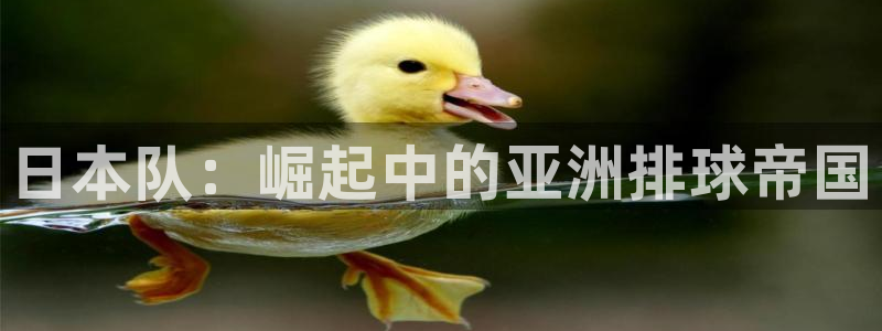 日本队：崛起中的亚洲排球帝国