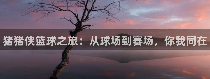 星空体育xk：猪猪侠篮球之旅：从球场到赛场，你我同在