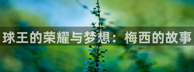天空体育球员排名榜：球王的荣耀与梦想：梅西的故事