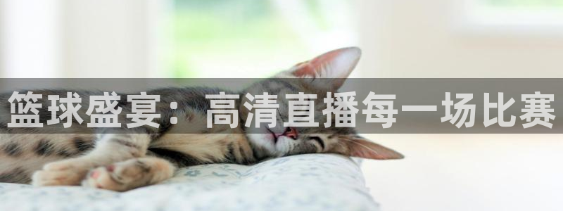 天空体育球员排名榜：篮球盛宴：高清直播每一场比赛