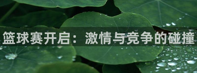 天空体育的可信度：篮球赛开启：激情与竞争的碰撞