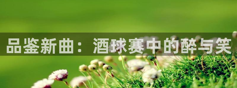 xk星空体育：品鉴新曲：酒球赛中的醉与笑